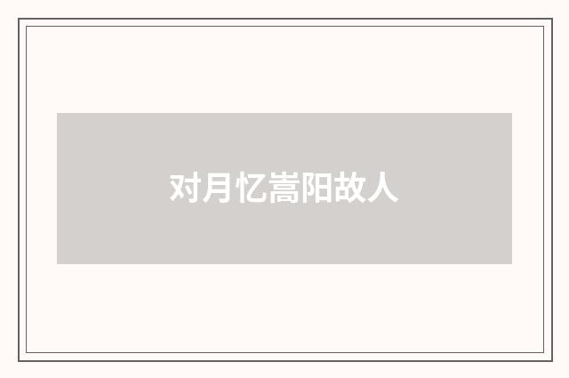 对月忆嵩阳故人