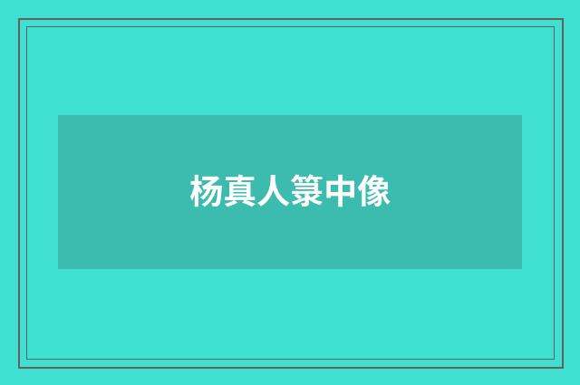 杨真人箓中像