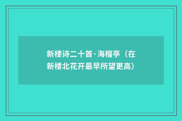 新楼诗二十首·海榴亭（在新楼北花开最早所望更高）