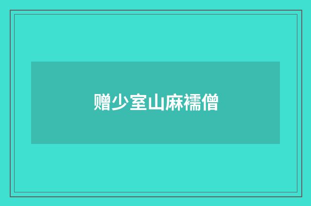 赠少室山麻襦僧