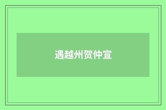 遇越州贺仲宣