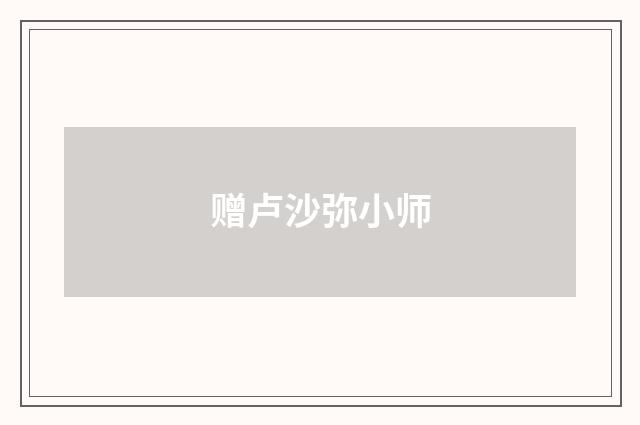 赠卢沙弥小师