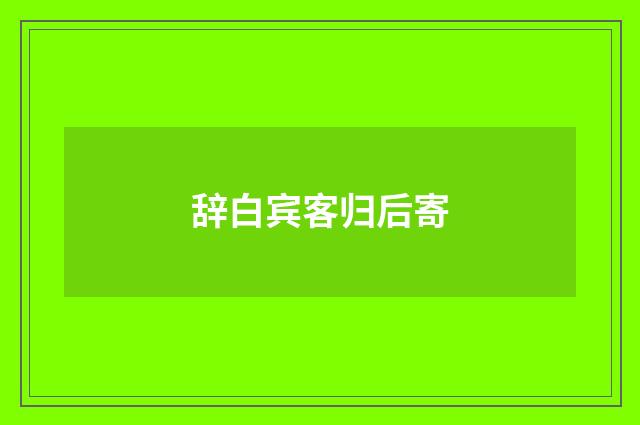 辞白宾客归后寄