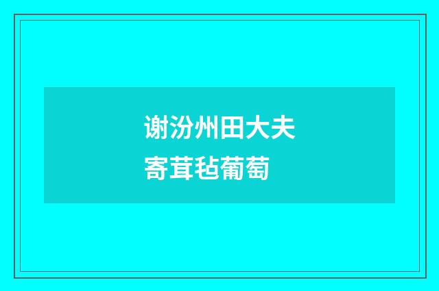 谢汾州田大夫寄茸毡葡萄