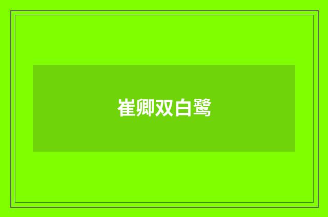 崔卿双白鹭