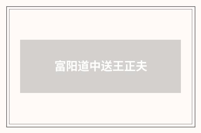 富阳道中送王正夫