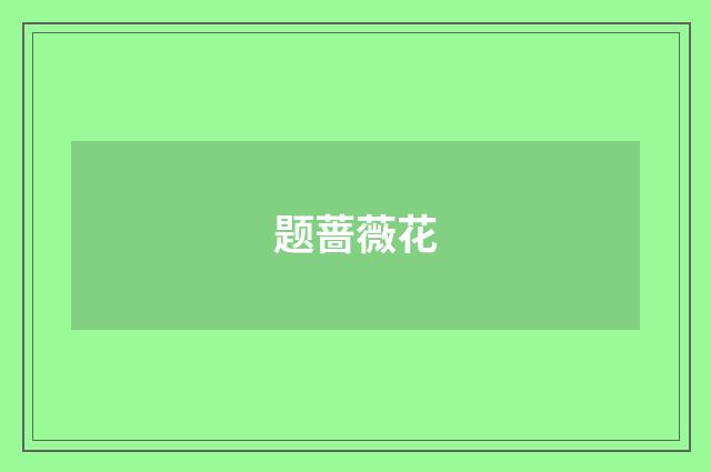 题蔷薇花