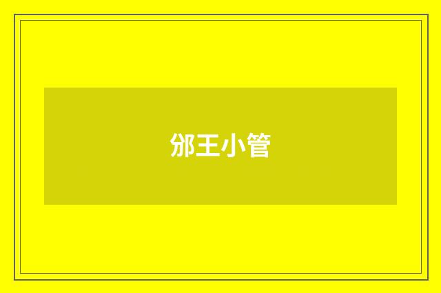 邠王小管