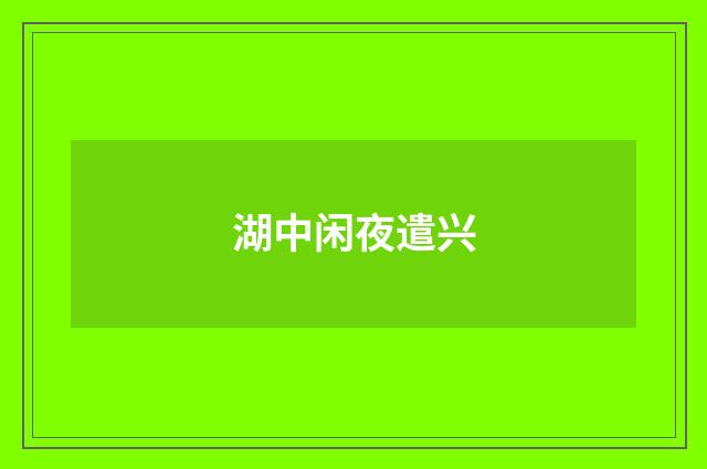 湖中闲夜遣兴