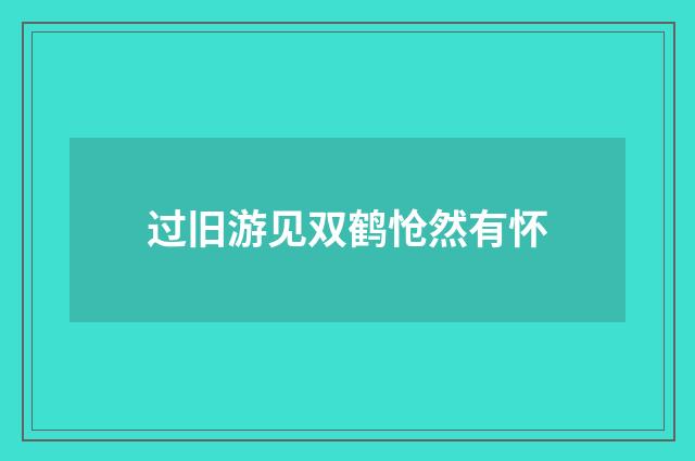 过旧游见双鹤怆然有怀