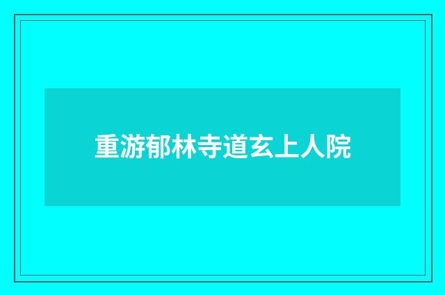 重游郁林寺道玄上人院