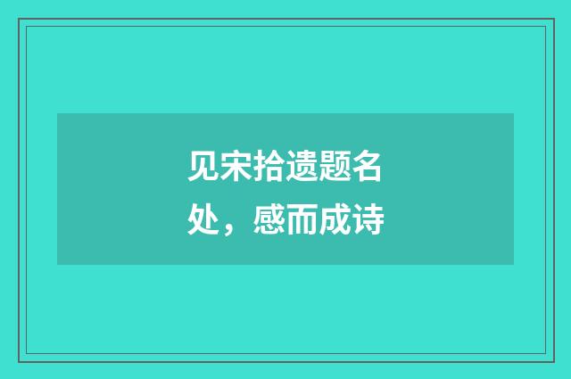 见宋拾遗题名处，感而成诗