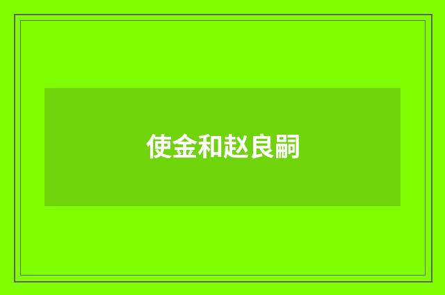 使金和赵良嗣