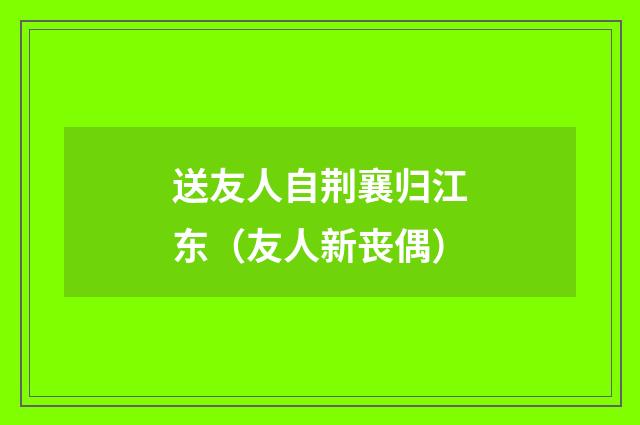 送友人自荆襄归江东（友人新丧偶）