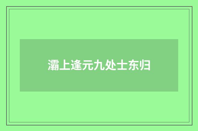 灞上逢元九处士东归