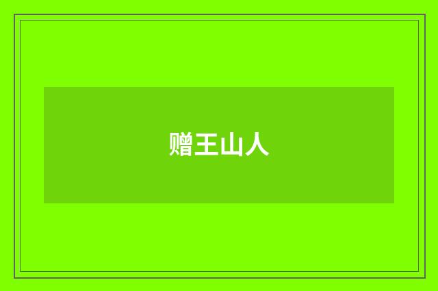 赠王山人