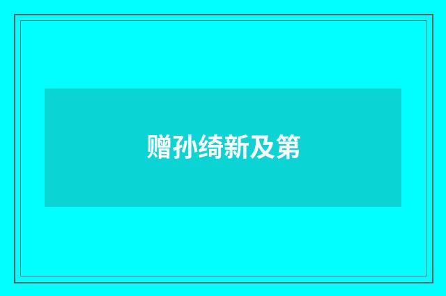 赠孙绮新及第