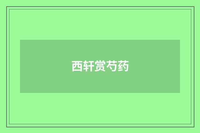 西轩赏芍药