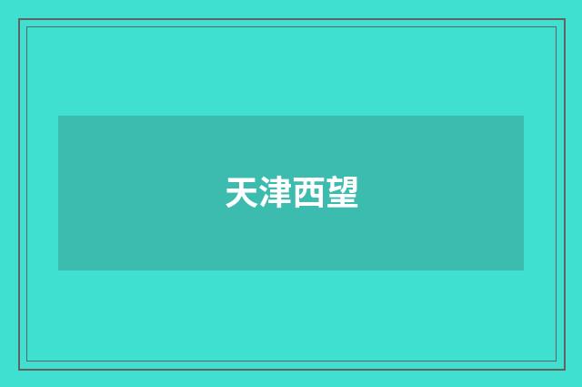 天津西望
