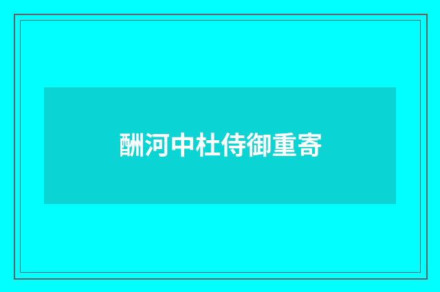 酬河中杜侍御重寄