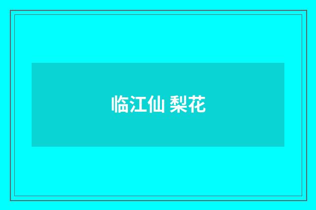 临江仙 梨花
