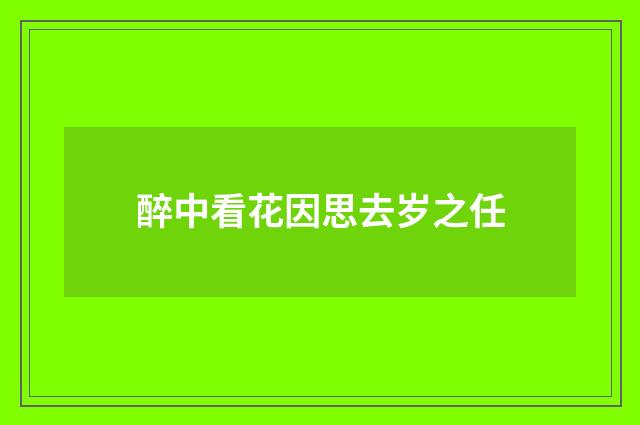 醉中看花因思去岁之任