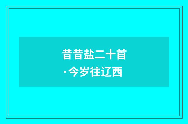 昔昔盐二十首·今岁往辽西