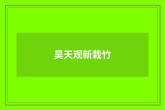 昊天观新栽竹