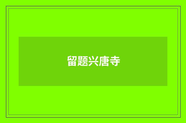 留题兴唐寺