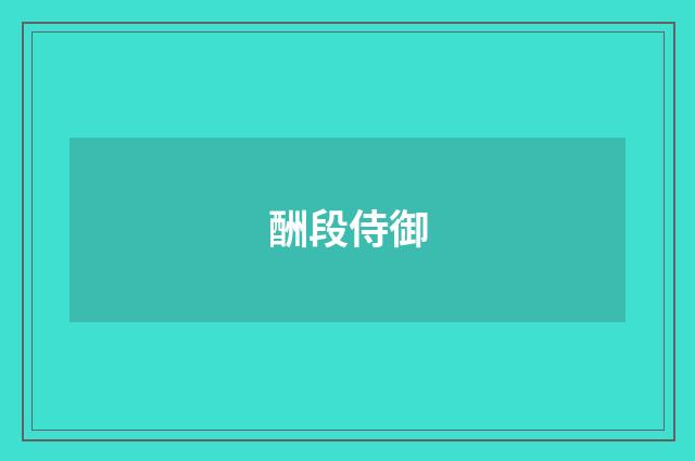 酬段侍御