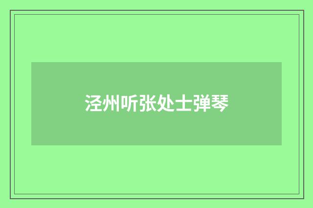 泾州听张处士弹琴