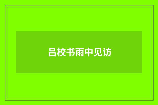 吕校书雨中见访