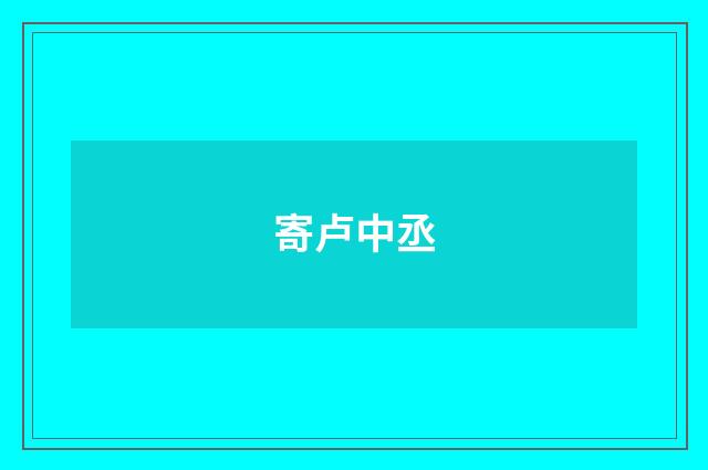 寄卢中丞