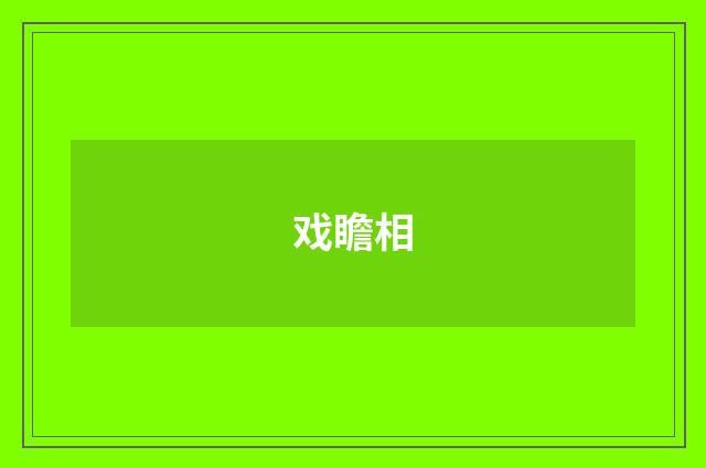 戏瞻相