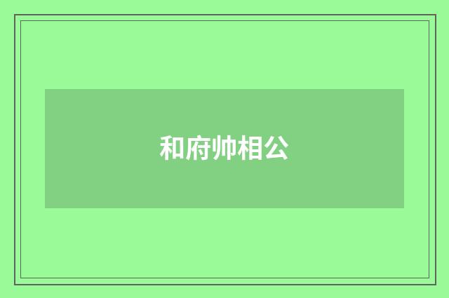 和府帅相公