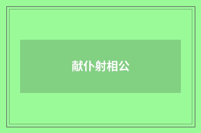 献仆射相公