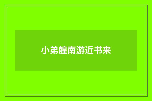 小弟艎南游近书来