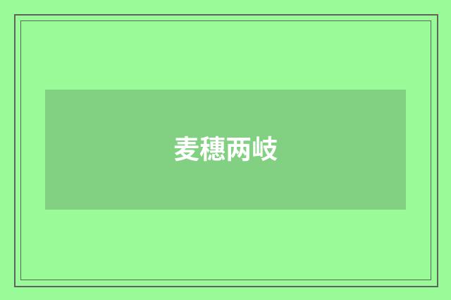 麦穗两岐