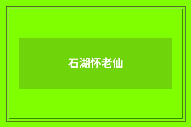 石湖怀老仙