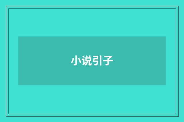 小说引子