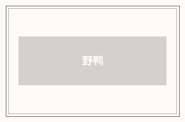 野鸭