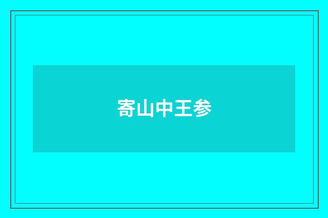 寄山中王参