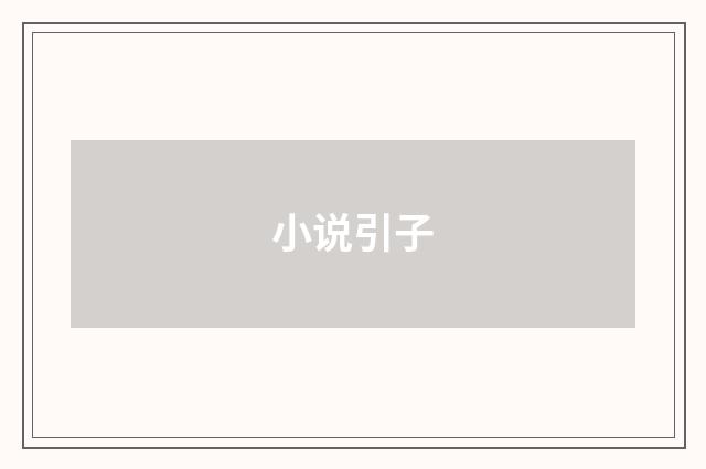 小说引子