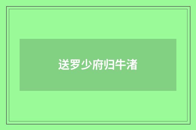 送罗少府归牛渚