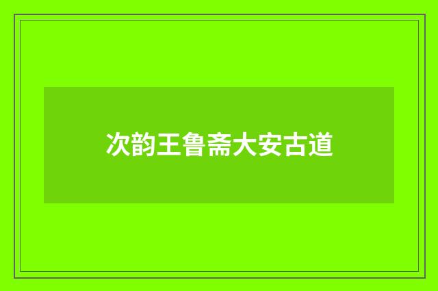 次韵王鲁斋大安古道