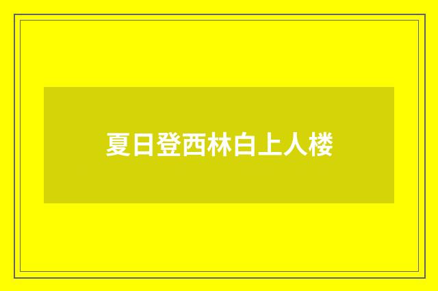 夏日登西林白上人楼