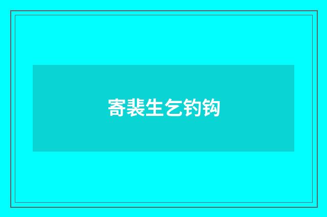 寄裴生乞钓钩