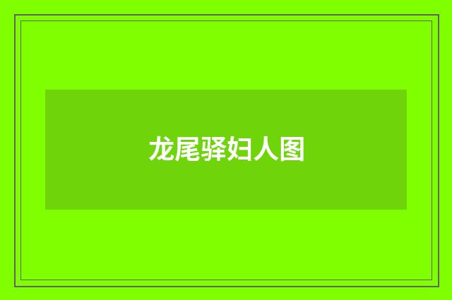 龙尾驿妇人图
