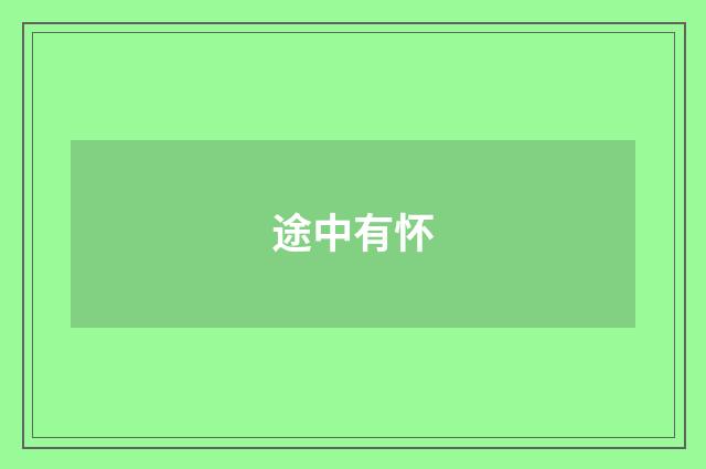 途中有怀