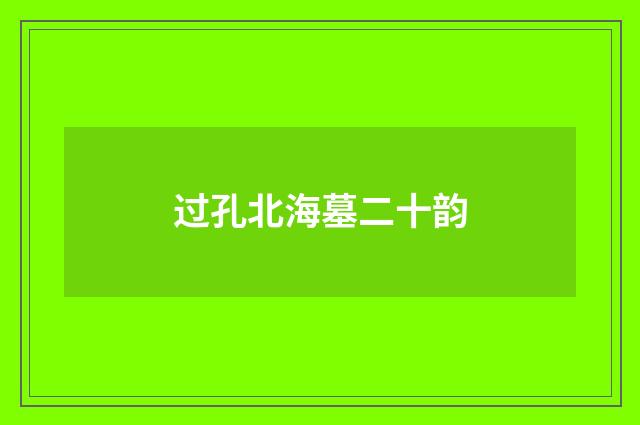 过孔北海墓二十韵